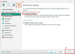 Remove Change Activate Kaspersky