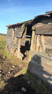 Coming up 7 years I’ve been living across the road from this beauty and  never seen it up close. Like many people, beautiful isn’t a materialistic  word… beautiful can be described with strength, ...