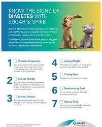 Check spelling or type a new query. Resources And Information For Cats With Diabetes Vetsulin