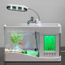 Pin On Fish And Fish Bowls