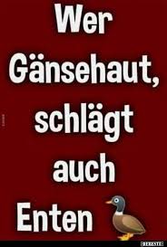 Wer Gansehaut Schlagt Auch Enten Lustige Bilder Spruche Witze Echt Lustig Enten Lustige Bilder Lustig