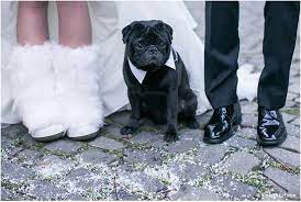 Wir setzen alles daran, einen sicheren und fairen marktplatz für unsere käufer und verkäufer bereitzustellen. 7 Hochzeit Winter Ideen Braut Hochzeit Brautstrauss
