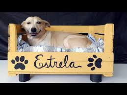 Caminha Para Cachorro Grande Passo A Passo Pin Em Pets