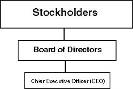 This Is The Basic Hierarchy Of Most Corporations The Stockholders Elect The Board Of Directors And Business Structure Board Of Directors Private Foundation