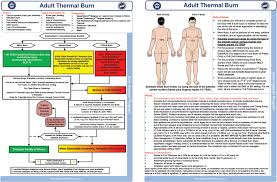 Thermal Burn Care A Review Of Best Practices Ems World