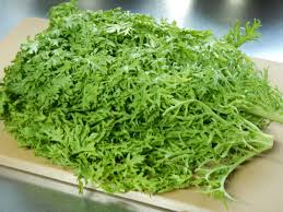 わさび菜の味は 生で食べれる 美味しい食べ方や簡単レシピ3選を紹介 Lostathome