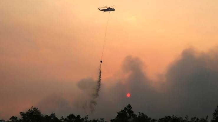 Wildfire smoke drives surge in respiratory infections in Indonesia – Asia  News Network