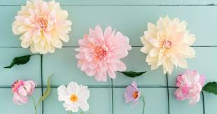 Check spelling or type a new query. How To Create A Paper Flower Wedding Arch That Will Leave Your Guests In Awe