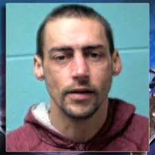 Deep Run man charged for spree of theft and vandalism in Pink Hill