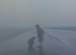 Pin De Solivagant Em A Motion Picture Crime