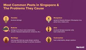 Common pest problems we solve. Problems Caused By The Most Common Pests In Singapore Debugged Sg The Pest Control Blog