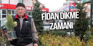 Mesela ağaçlarınızın arasına bir hamak kurarak kendinize harika dinlenme alanları ya da ağaç evler inşa ederek çocuklarınız için oyun alanları yaratabilirsiniz. Fidan Dikme Zamani