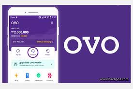 Make money bisa jadi alternatif lain jika ingin mendapatkan saldo paypal gratis. Web Penghasil Saldo Ovo Gratis Dan Tercepat Baca Pos