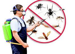 Here is your list of the best providers near you. About V Star Pest Control Services