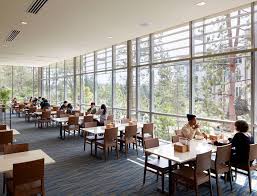 New Housing Adds Positive Density At Ucla