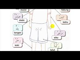 Peperiksaan akhir tahun prasekolah sk seri bandar tahun 2010. Aktiviti Pendidikan Islam Pra Sekolah Anggota Badan Dalam Bahasa Arab Youtube