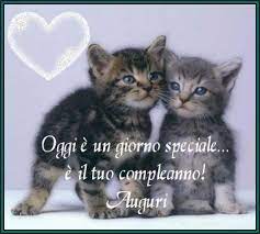 Stai Cercando Delle Simpatiche Immagini Da Inviare Al Festeggiato Ma Non Riesci A Trova Immagini Di Buon Compleanno Compleanno Gatti Buon Compleanno Divertente
