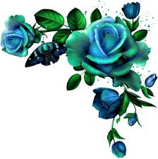 In the large flower png gallery, all of the files can be used for commercial purpose. Download 0 D5aec B96f6af3 Orig Blue Rose Flower Borders Png Image With No Background Pngkey Com