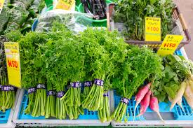新鮮で味が濃くて美味しい 鎌倉野菜の種類 海沿いの街情報 ベイスタイル