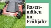 In deutschland existiert keine bundesweite regelung der. Rasenmahen Im Fruhjahr Erstes Rasenmahen Im Fruhjahr Darauf Achten Ab Wann Mahen Youtube