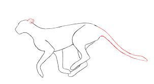 In this drawing lesson we'll show you how to draw a cheetah in 7 easy steps. How To Draw A Cheetah Draw Central