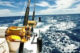 Isla magdalena se ubica en la costa occidental de la península de baja california, separada de puerto san carlos por las aguas de bahía magdalena. Sea Fishing In Baja California Sur Find And Book Your Charter Tom S Catch