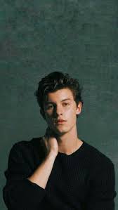 Where was aaliyah mendes born? Shawn Mendes Wiki Bio Family Education Career Awards Net Worth Girlfriend Social Life Philanthropy And Facts