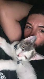 How to find shelter or foster care for a found cat in Elgin area?