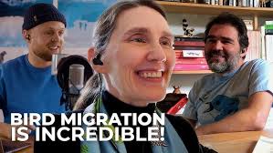 Bird Migration Explorer Demo: Conservation Challenges