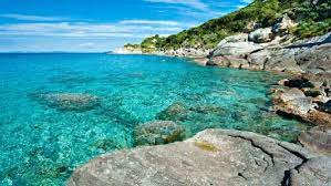 Il sito più completo di appartamenti e ville all'isola d'elba in affitto per vacanze estive. Appartamenti Isola D Elba