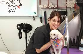 Spaw patrol mobile grooming is an all inclusive grooming service that comes to you! West Coast Groomers 21 Golden Gate Blvd E Naples Fl 34120 Yp Com
