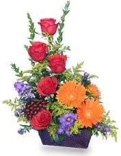 For the best and freshest flowers in lakeland, gibsonia flowers have exactly what youre looking for. About Us Gibsonia Flowers Lakeland Fl