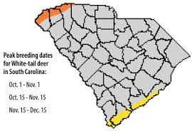 Timing South Carolinas Deer Rut