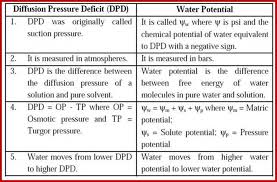 Water And Water Dynamics