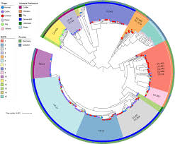(b) physical activity and sedentary behavior, (c) dietary habits and use . Genome Wide Insights Into Population Structure And Host Specificity Of Campylobacter Jejuni Scientific Reports