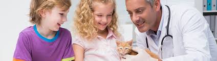 Holistic pet care little falls nj also offers animal acupuncture procedures. Our Services In Little Falls Nj Vca Little Falls Animal Hospital
