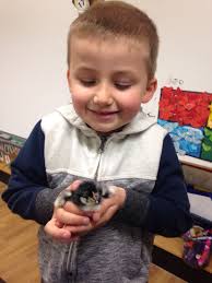 Alistair Robinson is fundraising for Macmillan Cancer Support