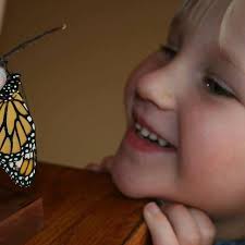 Congratulations to seniors Sarah Creveling, Brandon Shaub, Ida Koli, and  Alex Miller! #WilsonSD #WilsonEmpowered #Classof2021