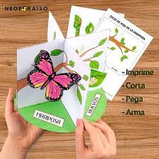 Pin En Educacion