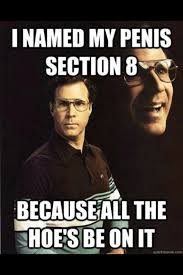 Section 8 Lol Can T Move Yo Man In A Section 8 Crib Omfg Who Makes Theses Memes Funny Quotes Funny Memes Life Thoughts