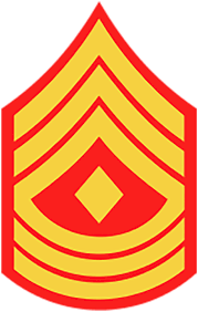 U S Military Rank Insignia