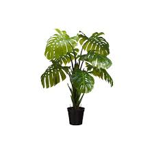 5 Split Leaf Philodendron Monstera Silk Plant W Pot Philodendron Monstera Silk Plants Philodendron