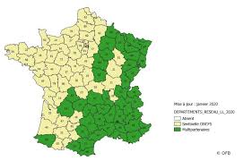 Numéros des départements de la france métropolitaine. L Ensemble Des Departements De France Metropolitaine Desormais Couvert Par Le Reseau Sentinelle Loup Lynx Le Loup En France