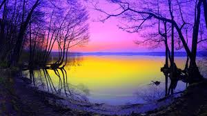 Check spelling or type a new query. Nature Hd Wallpapers For Android Mobile Full Screen Full Screen Beautiful Nature Image Hd 1920x1080 Download Hd Wallpaper Wallpapertip