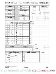 This is a great template to start with as it helps you to focus your assessment and care around the. Nurse Brain Sheet Icu