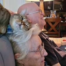 Phyllis Noel Obituary and Online Memorial (2025)