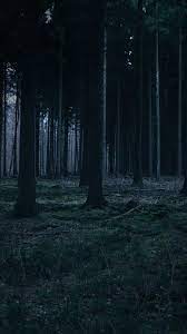 Photography Night Dark Trees 20 Ideas Forest Wallpaper Iphone Dark Tree Night Forest