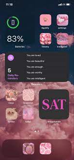 Pink Blue Aesthetic Ios 14 Layout Iphone App Layout Homescreen Iphone Iphone Layout