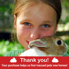 5x7 Rabbit Rescue Personalized Photo Frame, Rescued Bunny, Custom Pet  Frame, Hare Picture Frame, Bunny Lover Gifts, Rabbit Lover Frame