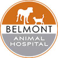 We welcome you to belmont pet hospital for all of your animal care needs. Belmont Animal Hospital Company Profile Acquisition Investors Pitchbook